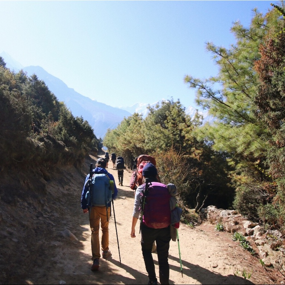 Meet your Posher, Erin